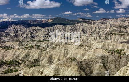 Die Caineville Badlands bilden eine weitläufige Landschaft mit tief erodierten grauen und braunen Hängen im südlichen Zentrum von Utah. Stockfoto