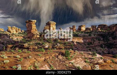Dunkle Regenwolken ziehen über den Needles District im südlichen Teil des Canyonlands National Park, Utah, und tränken die roten Felsspitzen und Mesas belo Stockfoto