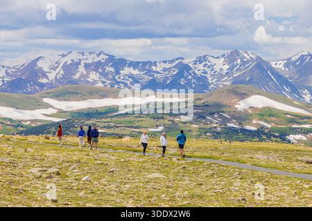 Colorado, 4. Juli 2025 – viele Besucher wandern auf dem Tundra Communities Trail im Rocky Mountain National Park. Stockfoto