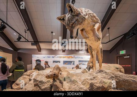 Colorado, 4. Juli 2025 - Innenansicht des Alpine Visitor Center des Rocky Mountain National Park Stockfoto