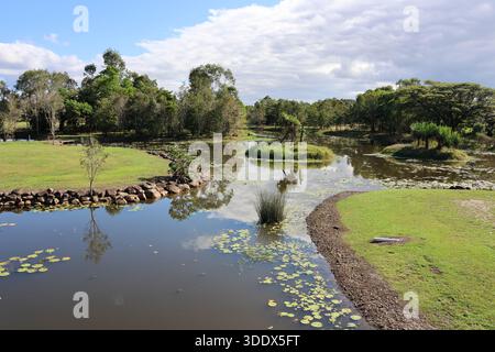 See mit stillem Wasser und Seerosen umgeben von Pflanzen und Bäumen in den Tyto Wetlands in Ingham, Queensland, Australien Stockfoto