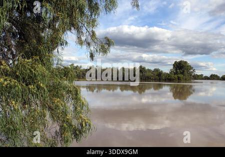 Bäume rund um einen See mit bewölktem blauen Himmel im Chinchilla Weir in Queensland, Australien Stockfoto