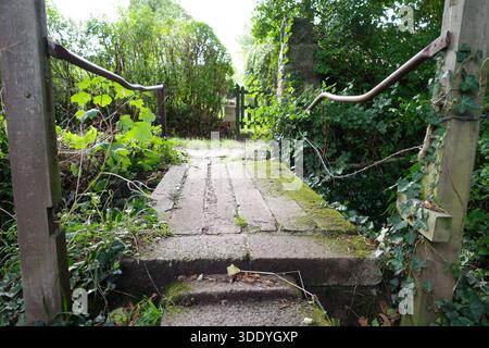 Einfache Steinbrücke mit grünen Metallgeländern, teilweise mit Moos bedeckt. Umgeben von dichtem Laub einschließlich Efeu und anderen grünen Pflanzen. Standort: Stockfoto