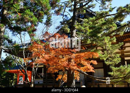 Herbst in Koyasan, Japan. Stockfoto
