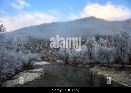 Fließender Fluss mit frostbedeckten Bäumen in Slowenien Stockfoto