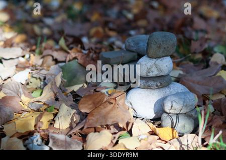 Zarte Steinbalancierungen auf dem Bett gemischter Herbstblätter mit natürlichem Licht Stockfoto