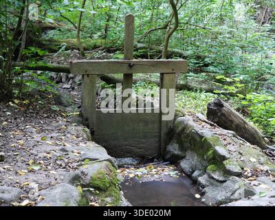Kleiner Waldbach mit Holzwehren, umgeben von Moos, Bäumen und dichter Vegetation in natürlicher Umgebung. Kopierraum. Stockfoto