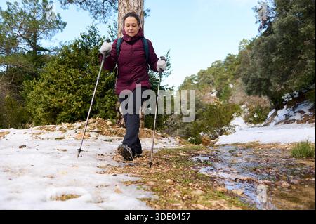 Eine Frau in einer burgunderroten Jacke verwendet Trekkingstöcke entlang eines verschneiten Waldweges und genießt eine kalte Wanderung im Freien und ein Winterabenteuer. Stockfoto