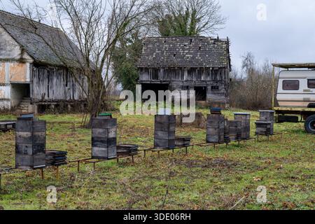 Bienenstöcke stehen bereit für den Frühling vor baufälligen Scheunen. Der Imker hofft auf eine mit Honig gefüllte Saison, trotz der Alterungsstrukturen in der Nähe. Stockfoto
