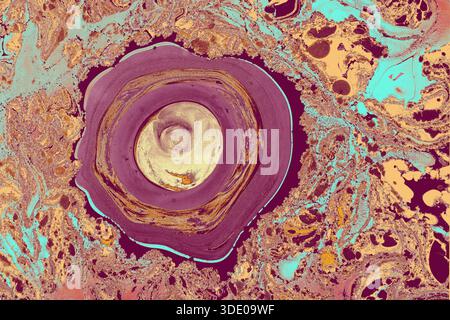 Fluide Ebru Marmorierung Hintergrund mit fließenden flüssigen Farbmustern und künstlerischen Wirbeln. Stockfoto