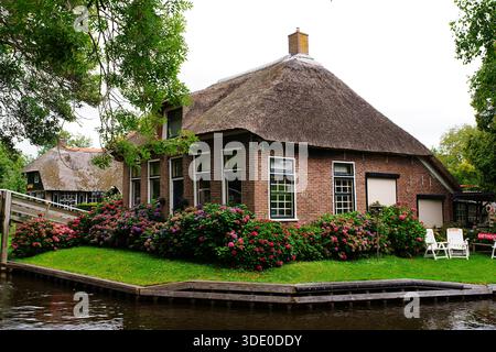 Bezauberndes Strohdachhaus in Giethoorn, umgeben von lebhaften Hortensien, üppig grünem Rasen und friedlichen Kanälen, die die idyllische Schönheit dieses Hauses einfangen Stockfoto