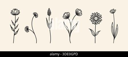 Minimalistisches botanisches Kunstwerk mit handgezeichneten Wildblumenskizzen und eleganten Blumenelementen auf beigefarbenem Hintergrund. Stock Vektor