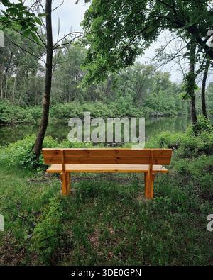 Leere Holzbank mit Blick auf einen ruhigen Waldfluss. Eine zentrierte Aufnahme auf Augenhöhe einer sauberen, hellbraunen Holzbank mit Blick auf einen ruhigen See Stockfoto