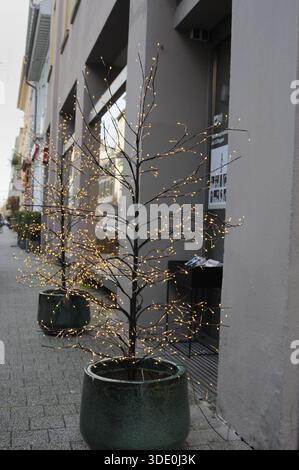 Kleine dekorative Bäume in Pflanzgefäßen mit warmen Lichterketten entlang einer urbanen Straße, gemütliche Atmosphäre und modernes Stadtdesign. Stockfoto