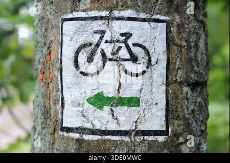 Radfahrweg oder Verkehrsschild auf Bäumen, das die Richtung für Radfahrer und Wanderer auf Waldwegen in Polen, Europa anzeigt Stockfoto