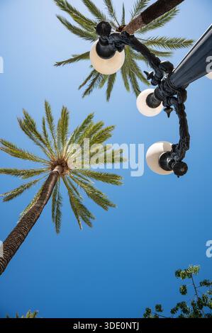 Palmen und Straßenlaterne von unten vor dem blauen Himmel. Stockfoto