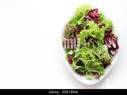 Eine weiße Platte mit einem frisch gemischten Salat, hergestellt aus verschiedenen Salatsorten und rotem Radicchio, isoliert auf weißem Hintergrund. Gesundes Gericht. Stockfoto