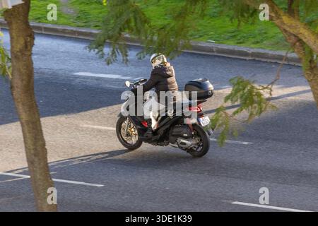 Person, die einen schwarzen Roller auf einer Asphaltstraße fährt, die von Ästen eingerahmt ist Stockfoto