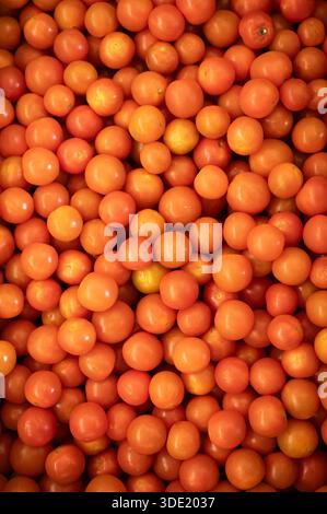 Eine Auswahl an roten Kirschtomaten. Stockfoto