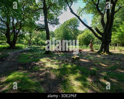 Primitive Holzunterkunft aus Baumstämmen und Zweigen in einem Green Forest Clearing, Outdoor Survival und Bushcraft Konzept Stockfoto