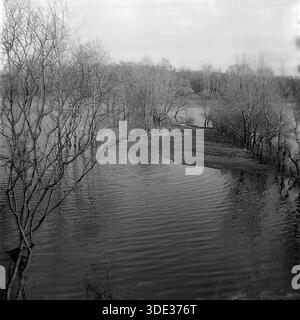 Das monochrome Archivfoto aus der Sowjetzeit der 1980er Jahre zeigt eine dramatische Frühlingslandschaft im „Appendizitis“-Rückwasser des Sewerski Donets in der Nähe von Brusino, Donezk, Ukraine UdSSR. Blattlose Bäume stehen tief im aufsteigenden Wasser und werfen schwache Reflexe auf die gewellte Oberfläche. Der bewölkte Himmel und die untergetauchte Küste sorgen für eine stimmungsvolle, stimmungsvolle Szene, die typisch für die Saison ist. Dieses Bild dokumentiert die natürlichen hydrologischen Zyklen und die ruhige, unberührte Schönheit der Donbass-Natur während einer friedlichen Vorkriegszeit. Stockfoto