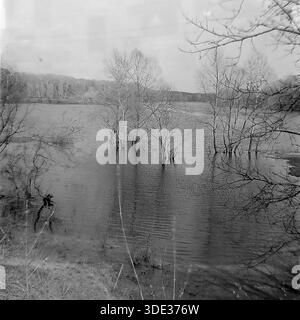 Das monochrome Archivfoto aus der Sowjetzeit der 1980er Jahre zeigt eine dramatische Frühlingslandschaft im „Appendizitis“-Rückwasser des Sewerski Donets in der Nähe von Brusino, Donezk, Ukraine UdSSR. Blattlose Bäume stehen tief im aufsteigenden Wasser und werfen schwache Reflexe auf die gewellte Oberfläche. Der bewölkte Himmel und die untergetauchte Küste sorgen für eine stimmungsvolle, stimmungsvolle Szene, die typisch für die Saison ist. Dieses Bild dokumentiert die natürlichen hydrologischen Zyklen und die ruhige, unberührte Schönheit der Donbass-Natur während einer friedlichen Vorkriegszeit. Stockfoto