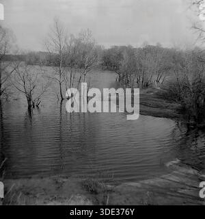Das monochrome Archivfoto aus der Sowjetzeit der 1980er Jahre zeigt eine dramatische Frühlingslandschaft im „Appendizitis“-Rückwasser des Sewerski Donets in der Nähe von Brusino, Donezk, Ukraine UdSSR. Blattlose Bäume stehen tief im aufsteigenden Wasser und werfen schwache Reflexe auf die gewellte Oberfläche. Der bewölkte Himmel und die untergetauchte Küste sorgen für eine stimmungsvolle, stimmungsvolle Szene, die typisch für die Saison ist. Dieses Bild dokumentiert die natürlichen hydrologischen Zyklen und die ruhige, unberührte Schönheit der Donbass-Natur während einer friedlichen Vorkriegszeit. Stockfoto