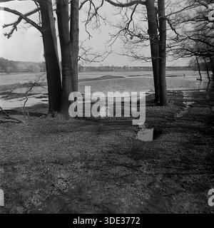 Das monochrome Archivfoto aus der Sowjetzeit der 1980er Jahre zeigt einen malerischen Blick auf die Frühlingsflut im „Appendizitis“-Rückwasser in der Nähe von Brusino, Donezk, Ukraine UdSSR. Eingerahmt von massiven dunklen Baumstämmen im Vordergrund zeigt das Bild eine nasse, schlammige Uferseite mit Pfützen, die zu den geschwollenen Gewässern des Seversky Donets führen. Die ferne Küste und der bewölkte Himmel schaffen eine düstere, atmosphärische Landschaft. Diese Komposition unterstreicht das Ausmaß der saisonalen Überschwemmungen und die raue Schönheit der Natur im friedlichen Donbass vor dem Krieg. Stockfoto