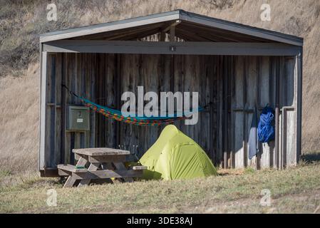 Campingplatz im Water Canyon Campground, Santa Rosa Island, Channel Islands National Park, Kalifornien, USA. Stockfoto