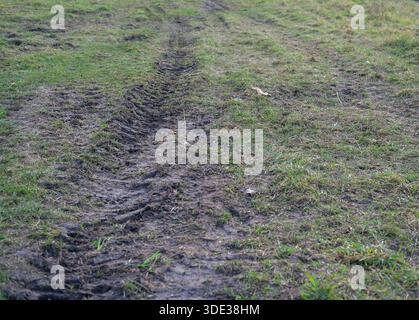 Nahaufnahme von Bodennähe von schlammigen Reifenspuren, die durch grünes Gras schneiden. Natürliches Tageslicht, geringe Schärfentiefe, nasse Bodenstruktur. Stockfoto