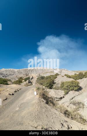Mount Bromo Vulkankrater Landschaft, herrlicher Blick auf Mt. Bromo, im Bromo Tengger Semeru National Park, Ost-Java, Indonesien Stockfoto
