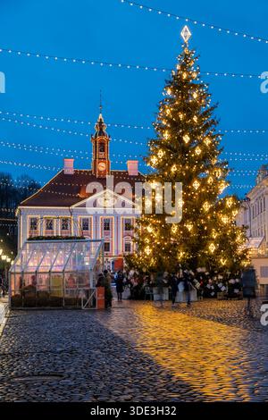 Weihnachtsmarkt, Rathausplatz (Raekoja Plats), Tartu, Kreis Tartu, Estland Stockfoto