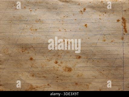 Nahansicht eines Blattes liniertes Notizbuchpapier Stockfoto