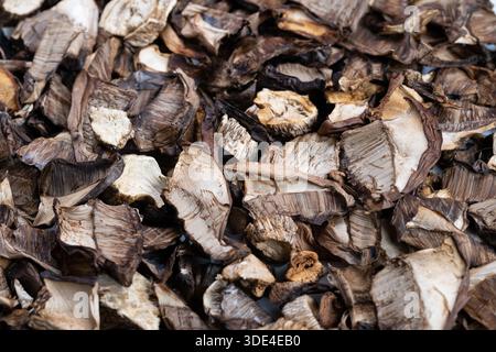 Nahaufnahme getrocknete Pilze stapeln Texturen erdige braune Porcini-Scheiben in enger Zusammensetzung, scharfe Kanten und faserige Kiemen sichtbar, detailreiche Foo Stockfoto