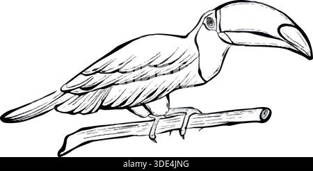 Minimalistische Vektorlinie Illustration des Tukanvogels, der auf einem Zweig sitzt, isoliert auf weißem Hintergrund, klare tropische Tierwelt Grafik ideal für Logos, Ikonen, Poster, Drucke und moderne Designprojekte. Stock Vektor