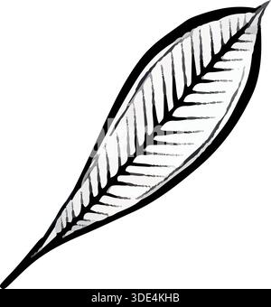 Vektorlinie Illustration eines einzelnen tropischen Blattes mit detaillierten Adern, isoliert auf weißem Hintergrund, saubere botanische Grafik ideal für Logos, Drucke, Verpackungen, Poster und moderne Designprojekte. Stock Vektor