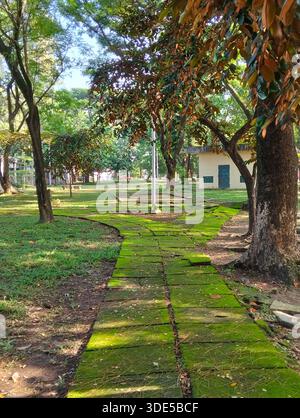 Moosbewachsener Steinpfad schlängelt sich durch einen ruhigen grünen Park Stockfoto