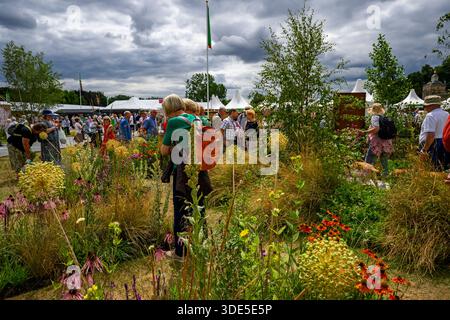 Work With Your Garden Feature Garden (naturalistische, Insektenbestäuberfreundliche Betten) - RHS Flower Show Wentworth Woodhouse 2025, Yorkshire England Großbritannien. Stockfoto