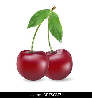 Abbildung eines realistischen 3D-Vektorsymbols. Frische rote Kirschen mit Stamm und Blatt in einer, zwei oder drei Beeren. Stock Vektor