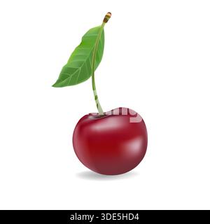 Abbildung eines realistischen 3D-Vektorsymbols. Frische rote Kirschen mit Stamm und Blatt in einer, zwei oder drei Beeren. Stock Vektor