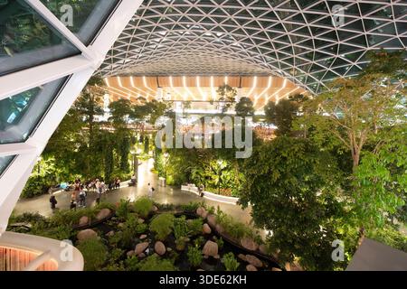 Am Hamad International Airport in Doha, Katar, entspannen sich die Menschen im üppigen Grün und genießen den überdachten Wald. Stockfoto