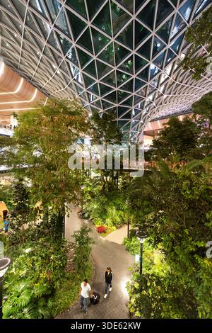 Reisende spazieren durch den Hamad International Airport in Doha, Katar, einem üppigen Innengarten. Stockfoto
