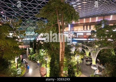 Am Hamad International Airport in Doha, Katar, einem beeindruckenden Innengarten und Einkaufszentrum, entspannen sich die Menschen im üppigen Grün. Stockfoto