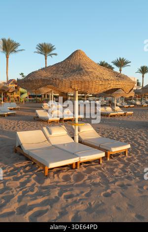 Vertikale Aufnahme von traditionellen Strohschirmen und weißen Sonnenliegen an einem Sandstrand des Resorts während der goldenen Stunde. Hohe Auflösung. Stockfoto