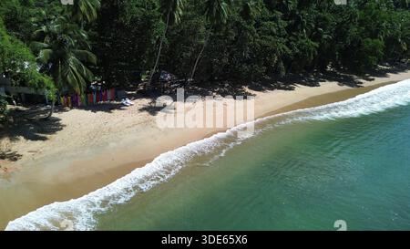 Blick aus der Vogelperspektive auf die Englishman’s Bay in Tobago mit einem abgeschiedenen sicheligen Strand, türkisfarbenem karibischem Wasser und üppigem tropischem Regenwald. Stockfoto