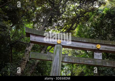 Tokio, Japan - 31. Juli 2025 : Holztor am Meiji-Schrein Stockfoto