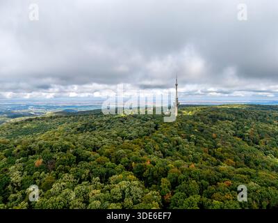 Zerstörter Fernsehturm, der sich über dem Walddach erhebt Stockfoto