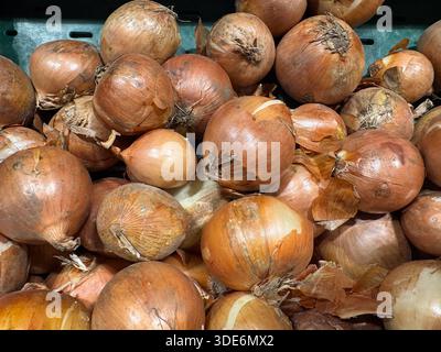 Gelbe Zwiebelfüllrahmen mit erdiger Textur und natürlichen Produkten Stockfoto
