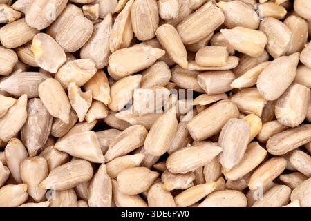 Geschälte Sonnenblumenkerne schaffen einen strukturierten und nahrhaften Snack-Hintergrund Stockfoto