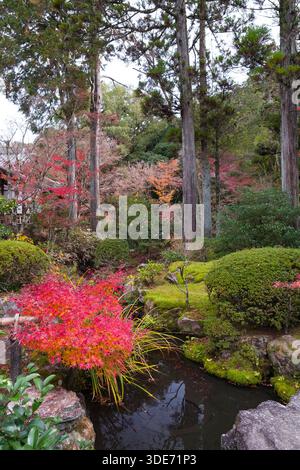 Eingebettet in das ruhige Gelände des Tenjuan Tempels in Kyoto, entfaltet sich ein ruhiger Garten, der die Schönheit der japanischen Landschaft zeigt. Stockfoto